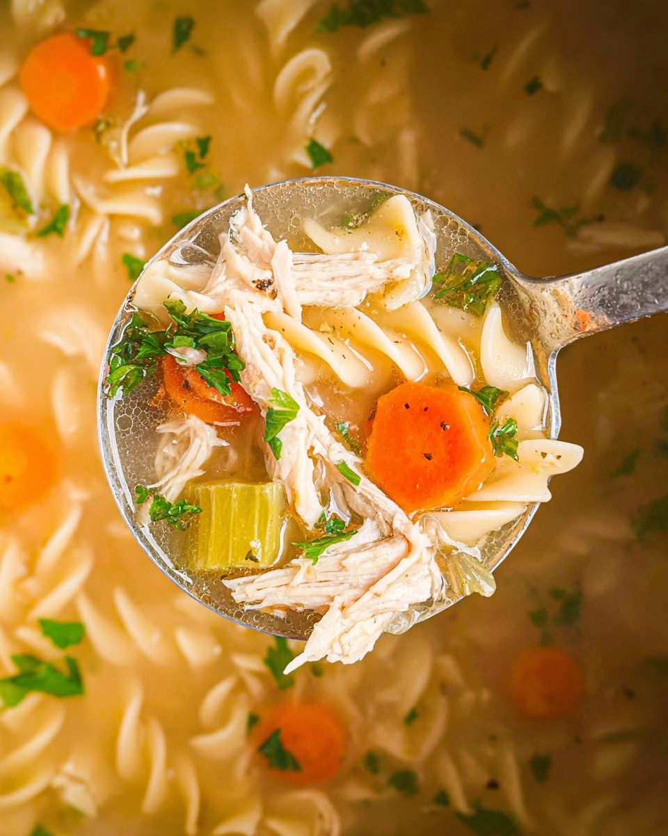 Crockpot Chicken Noodle Soup