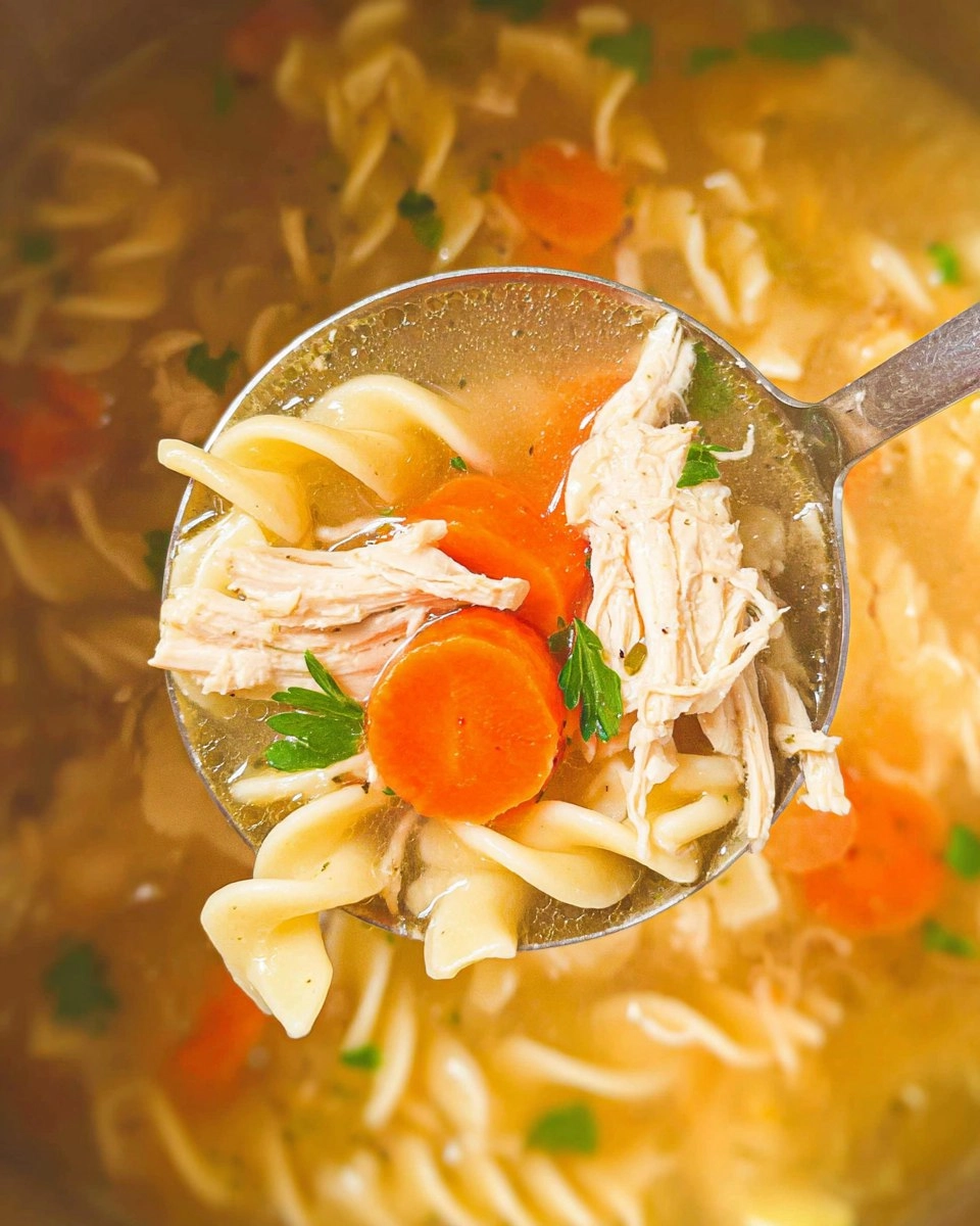 Crockpot Chicken Noodle Soup