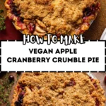 Vegan-Apple-Cranberry-Crumble-Pie