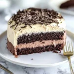 Vanilla-Bean-Chocolate-Cake-Recipe