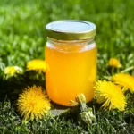 Mom's Dandelion Jelly (Spring Foraging) 96 Moms-Dandelion-Jelly-Spring-Foraging-Recipe