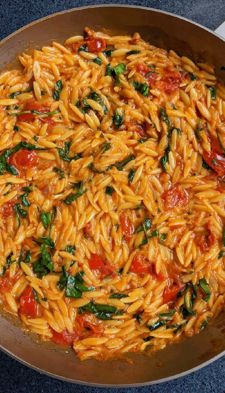 One Pot Creamy Tomato Orzo 147 One Pot Creamy Tomato Orzo